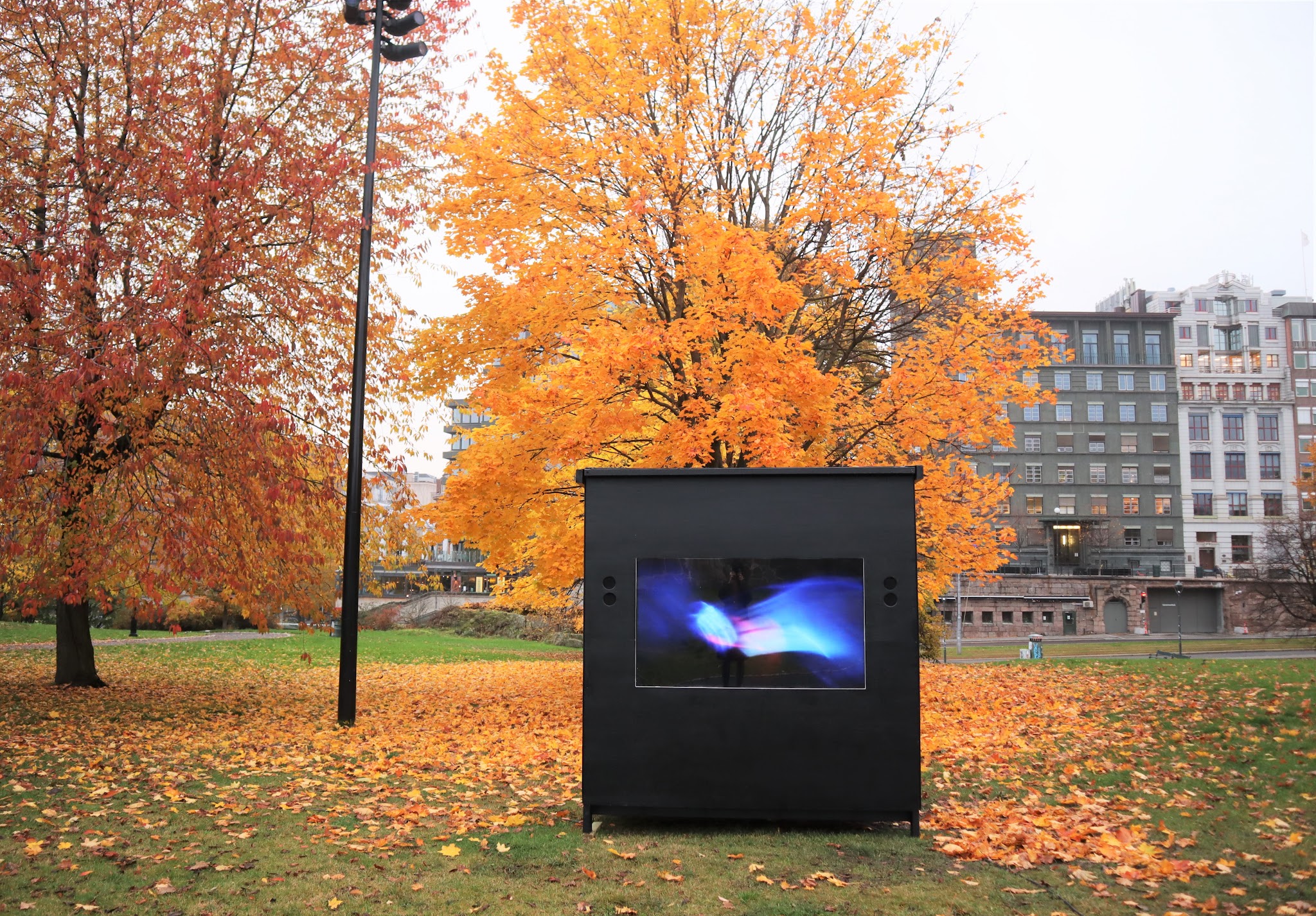 Abduction, Kontraskjæret, Oslo, 2020