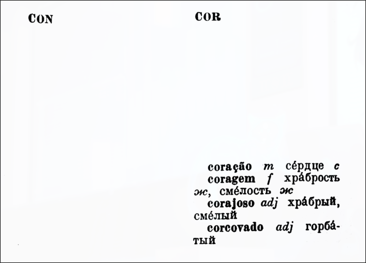 DICIONARIO, page spread, Ivan Galuzin