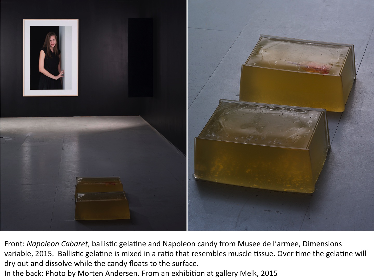 THE STAIN, THE ACT, THE MASK AND THE FACT, Gallery Melk, Oslo, 2015