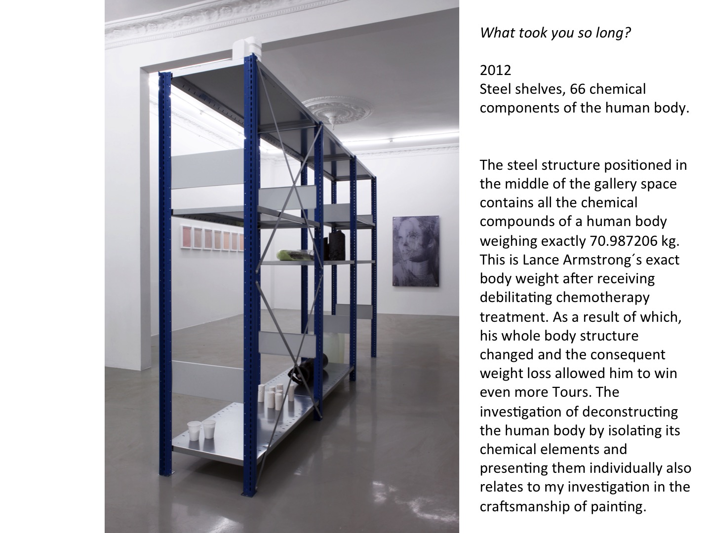 What Took You So Long?, Gallery Christian Torp, Oslo, 2012